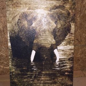 Elephant Canvas