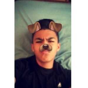 Meet your Posher, Steve