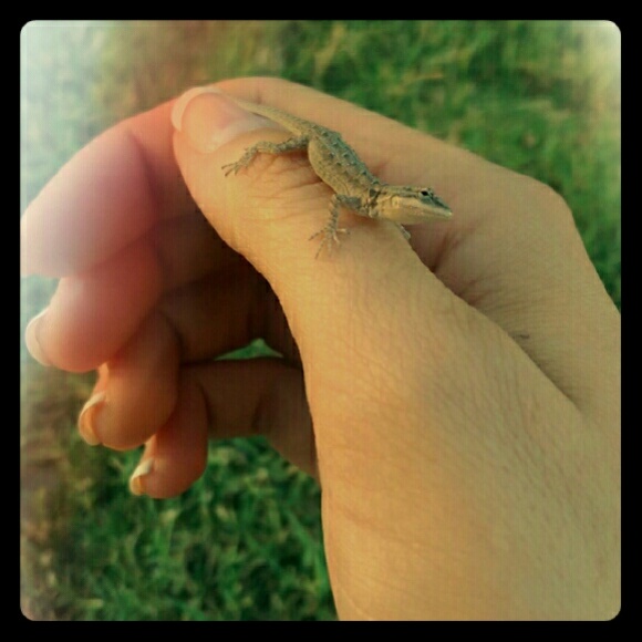 Meet your Posher, Jillian