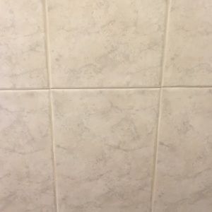 Meet your Posher, Dayami