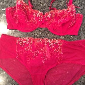 Cacique see-thru pink embroidery bra/panty