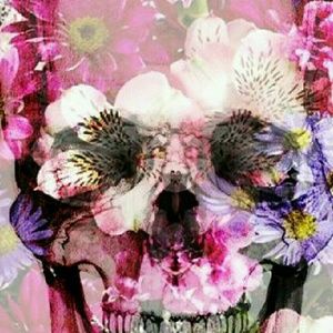 Meet your Posher, Ella