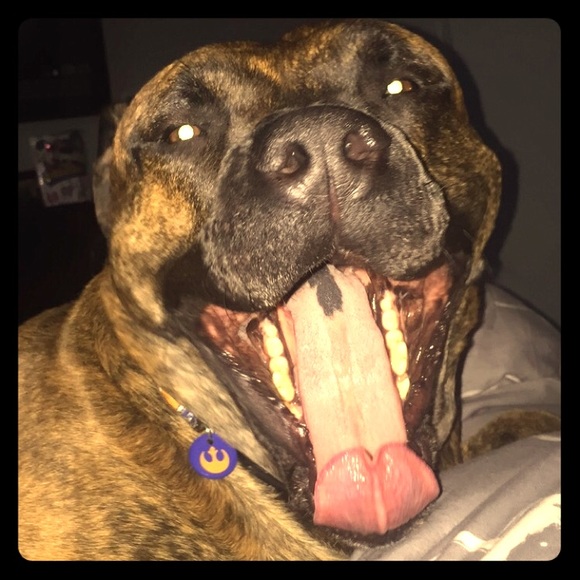 Accepting ALL reasonable offers!!!! - Picture 1 of 1