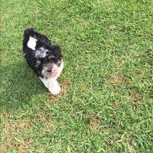 Meet your Posher, Meredith