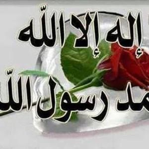 Meet your Posher, Umu