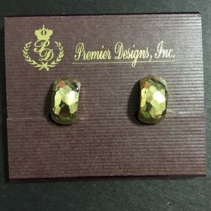 Premier Designs Little Bit Earrings