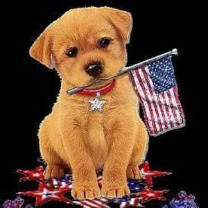 Meet your Posher, Rita