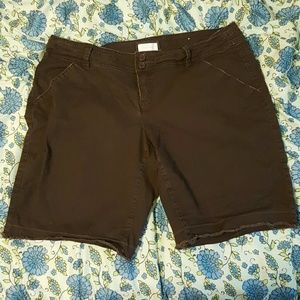 Brown Cotton Maurices Shorts Size 18