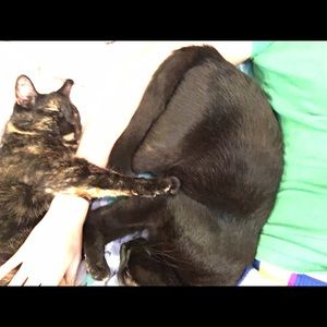 Meet your Posher, Adrianne