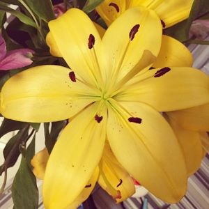 Meet your Posher, Caitlin