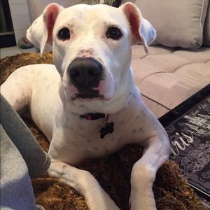 Meet your Posher, Alesia