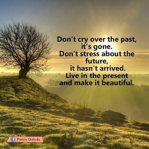 Meet your Posher, Steven