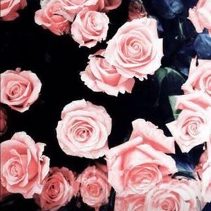 Meet your Posher, Julisa