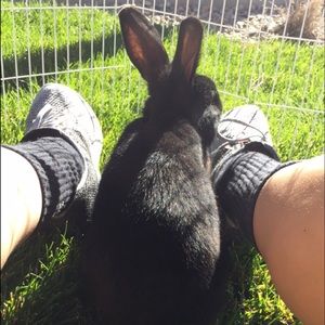 Meet your Posher, Jacqueline