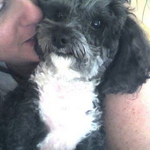 Meet your Posher, Dawn