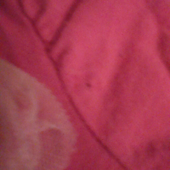 24mo Hello Kitty long sleeve and pant set - Picture 2 of 2