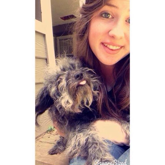 Meet your Posher, Cheyenne - Picture 1 of 1