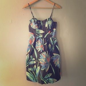 Lauren Conrad Summer Cocktail Dress