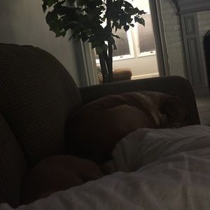 Meet your Posher, Allison