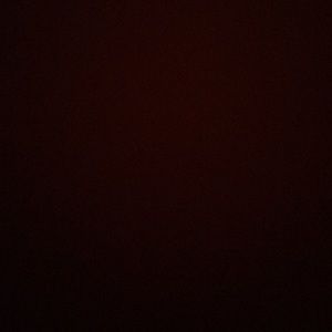 Meet your Posher, Tamia