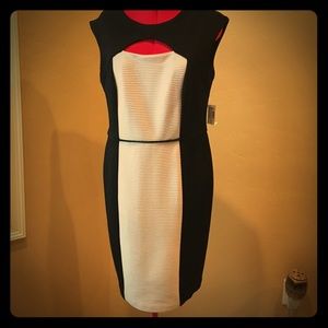 NWT- Black and cream professional dress