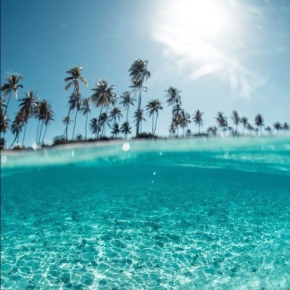 Meet your Posher, Yadira