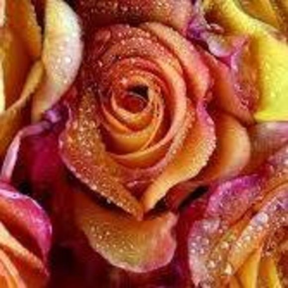 Meet your Posher, Yolanda