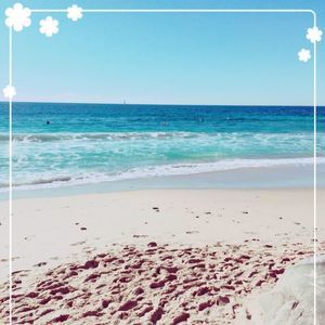 Meet your Posher, Esther