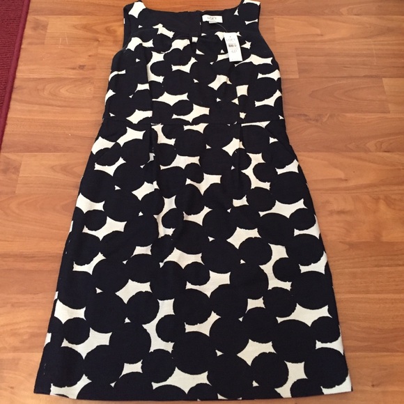 Final Markdown ⚡️NWT Loft textured polka dot dress