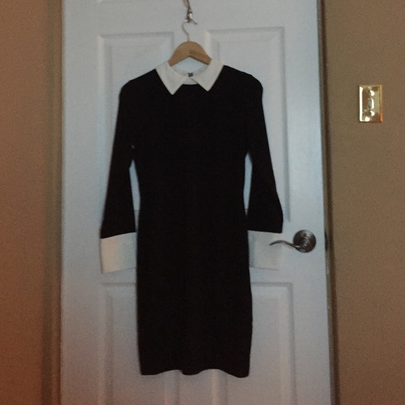 Collared, zipper in the back Venus dress.