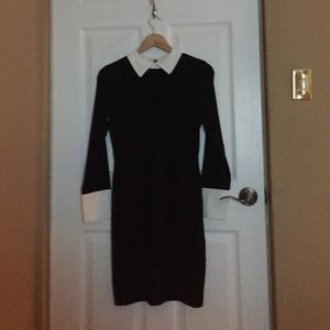 Collared, zipper in the back Venus dress.