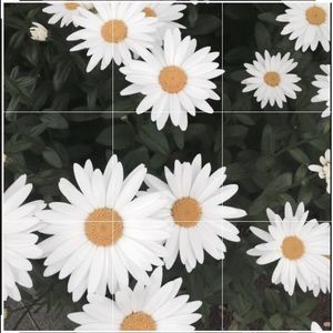 Meet your Posher, Eden