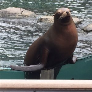 Meet your Posher, Haley