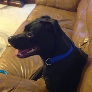 Meet your Posher, Antonio