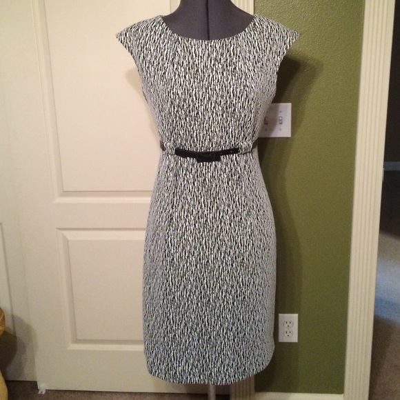 Connected Apparel Dresses & Skirts - Black/White Shift Dress