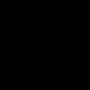 Meet your Posher, Jayde