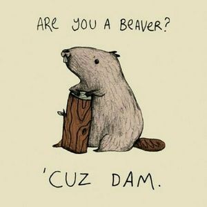 Meet your Posher, Nelly