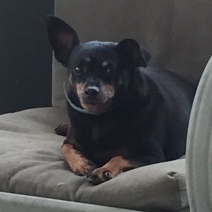 Meet your Posher, Terry