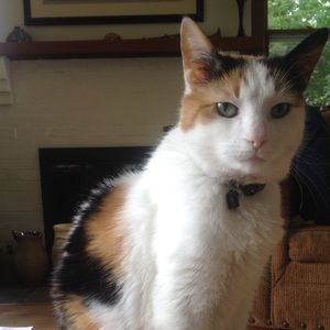 Meet your Posher, Grete