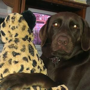 Meet your Posher, Bobbi