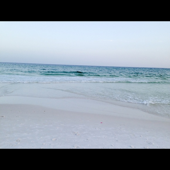 Meet your Posher, Morgan - Picture 1 of 1