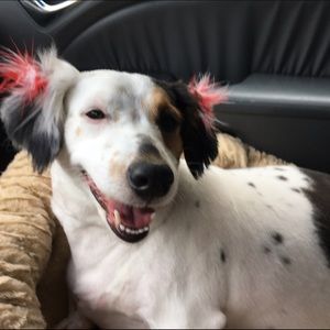 Meet your Posher, Crystal