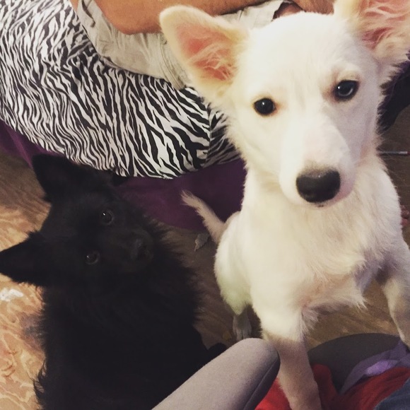 Meet your Posher, Stephanie - Picture 1 of 1