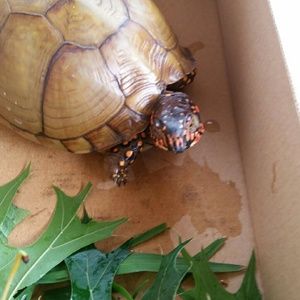 Meet your Posher, Katrina