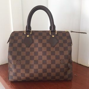 Louis Vuitton Damier Ebene Speedy 25