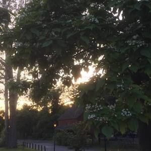 Meet your Posher, Janet