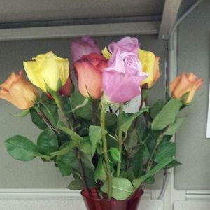 Meet your Posher, Sherwin