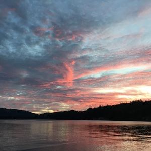 Meet your Posher, Lynn