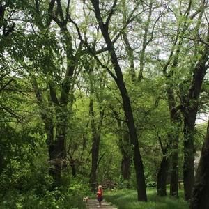 Meet your Posher, Trudy