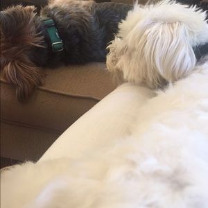 Meet your Posher, Lisa